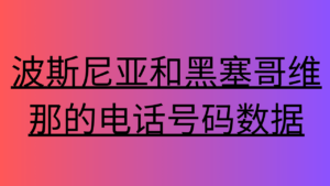 -波斯尼亚和黑塞哥维那的电话号码数据