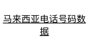 马来西亚电话号码数据